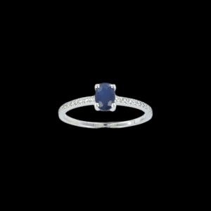 Anillo Princesa